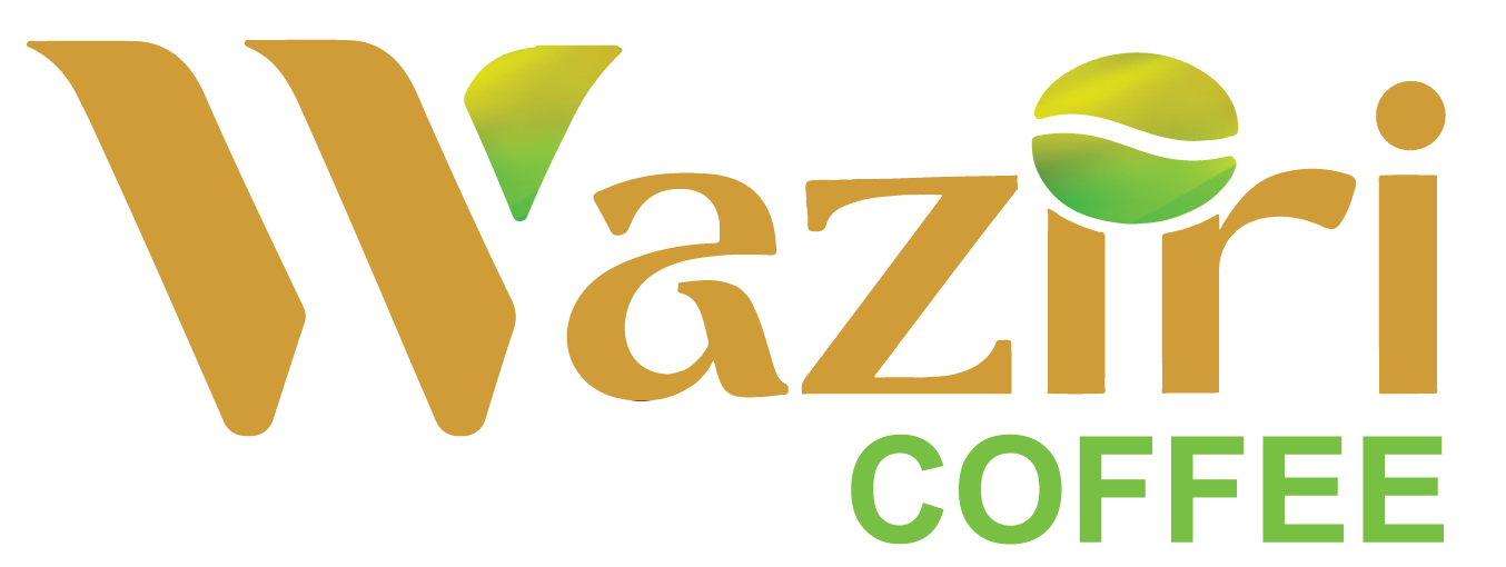 waziri logo website